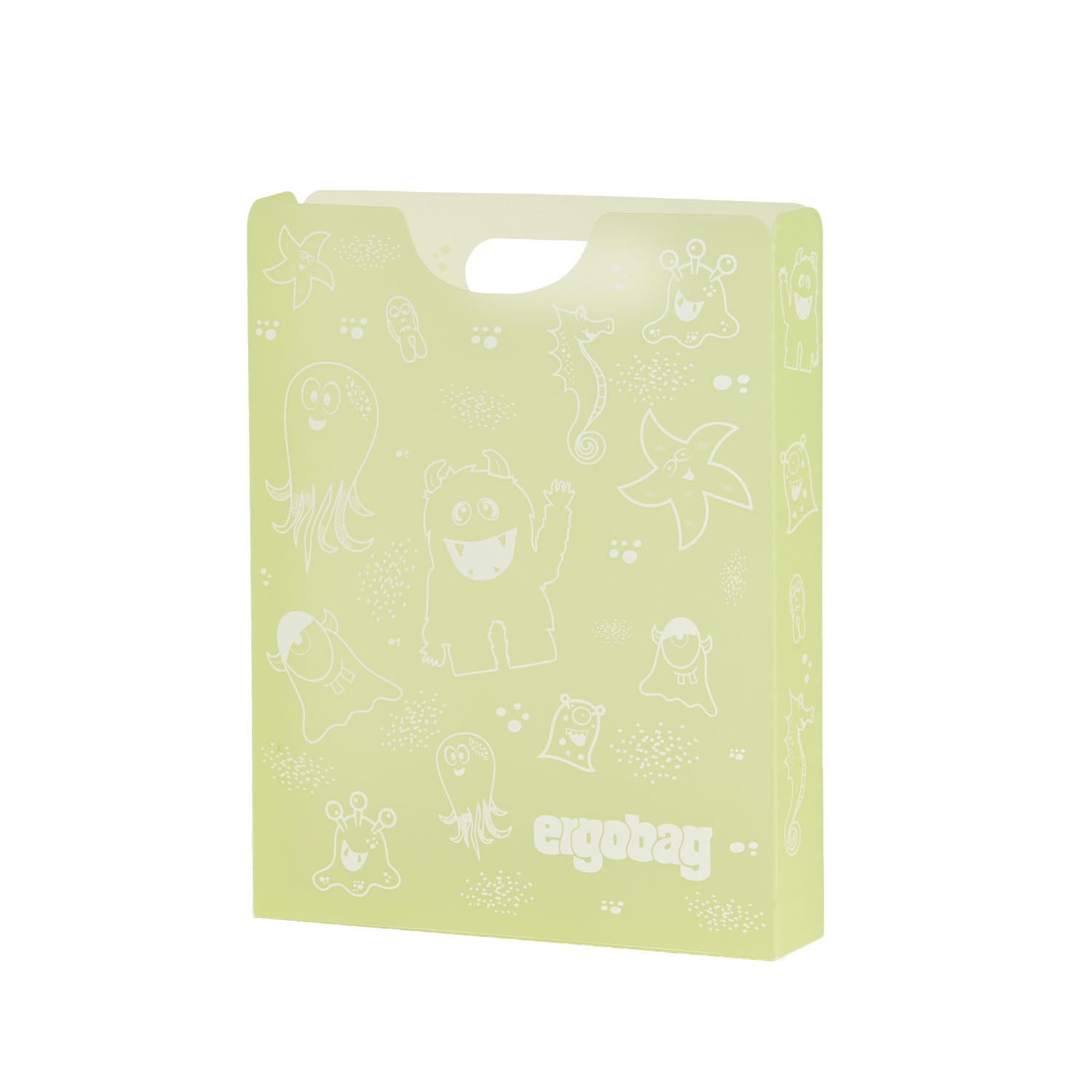 Ergobag Heftbox mit Griff