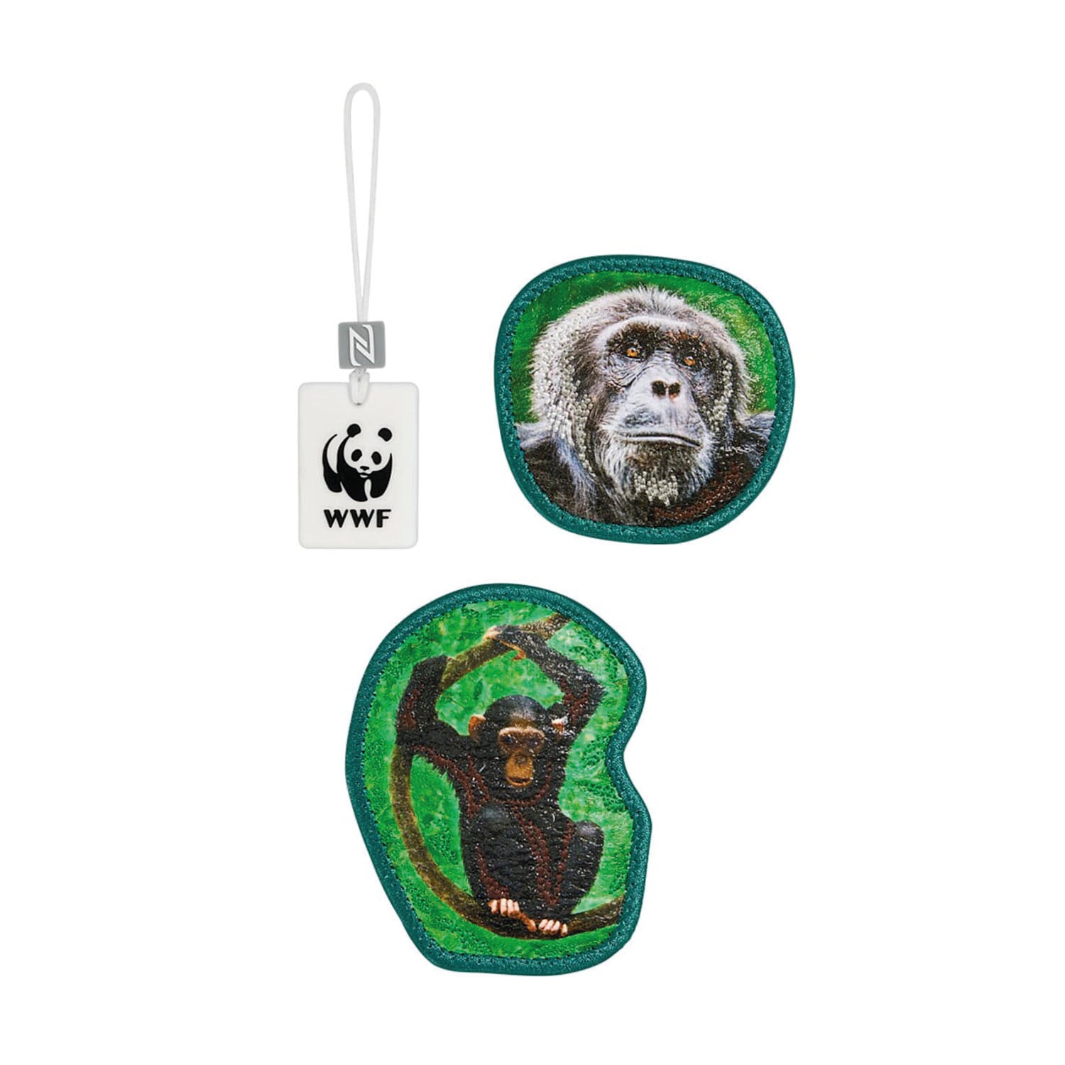 Step by Step Magig Mags WWF